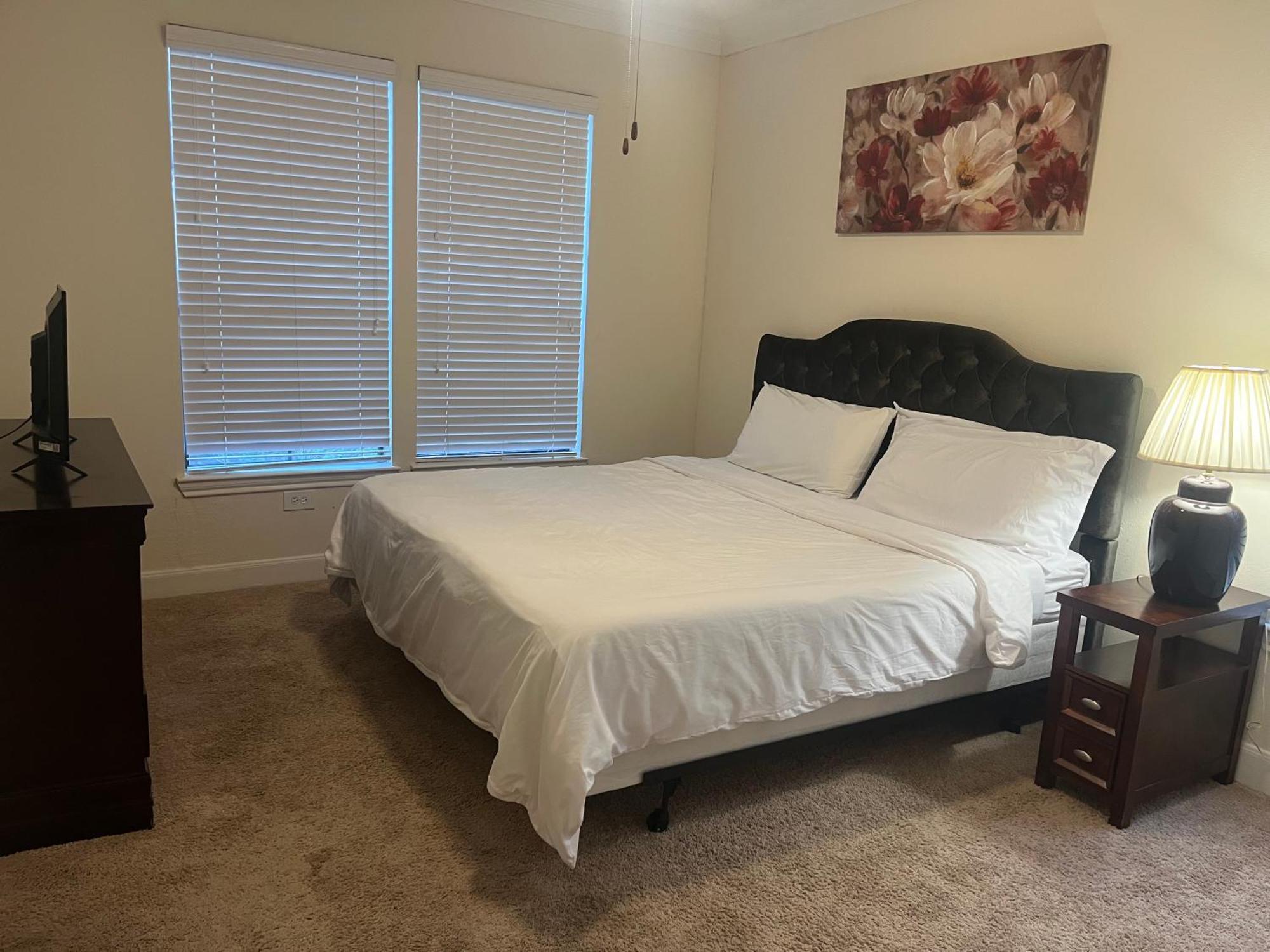 Luxury Fully Furnished Apartments By Nasa And Kemah Boardwalk 休斯敦 客房 照片
